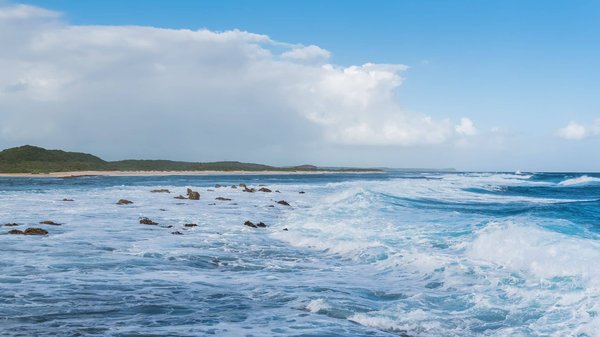 Quels châteaux de la vallée de la Loire proposent une expérience immersive dans l'histoire de la Renaissance?