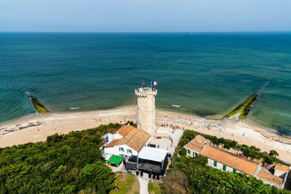 Quel est le meilleur moment pour observer les baleines bleues au large de la côte californienne ?